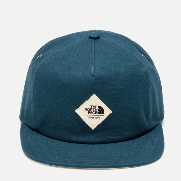 the north face 1966 cap